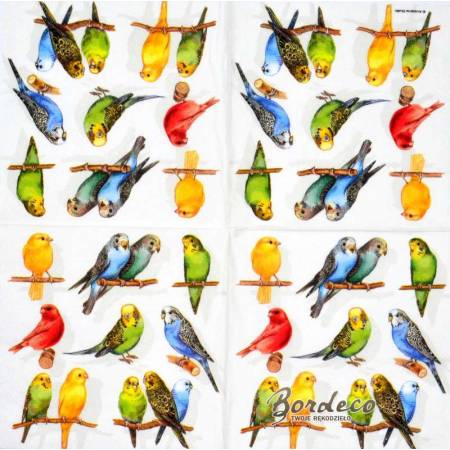 Serwetka decoupage firmy AMBIENTE papużki 33x33cm